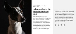 Abrigo Para Animais Afetados