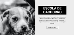 Treino De Escola De Cães - HTML5 Website Builder