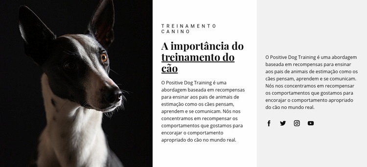 Abrigo para animais afetados Design do site