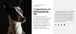 Abrigo Para Animais Afetados