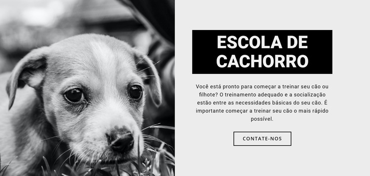 Treino de escola de cães Template Joomla