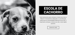 Treino De Escola De Cães - Tema WordPress Personalizado