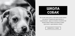 Школа Дрессировки Собак – HTML-Шаблон Сайта