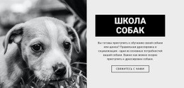 Многоцелевая Целевая Страница Для Школа Дрессировки Собак