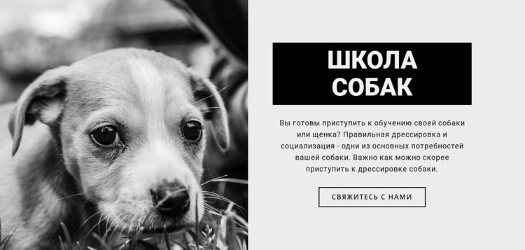 Школа дрессировки собак Целевая страница