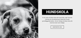 Hundskolutbildning - HTML-Webbplatsmall