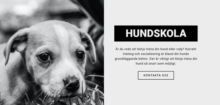 Hundskolutbildning HTML-mall
