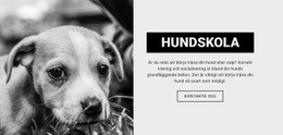 Hundskolutbildning #Templates-Sv-Seo-One-Item-Suffix