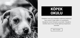 Köpek Okulu Eğitimi #One-Page-Template-Tr-Seo-One-Item-Suffix