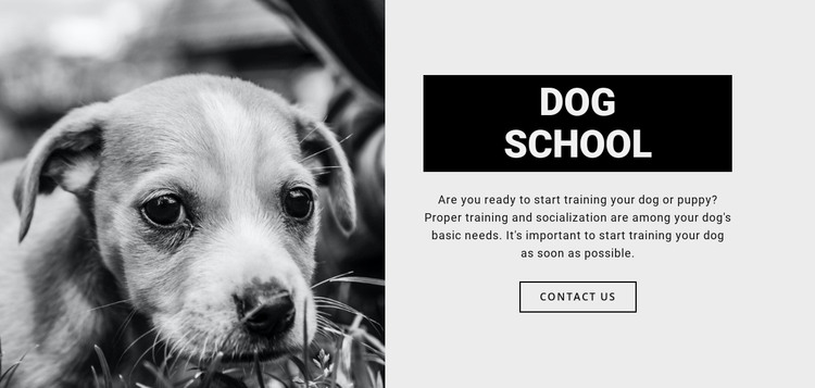 Dog school training Web Design