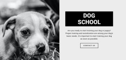 Dog School Training {0] - Online HTML Editor