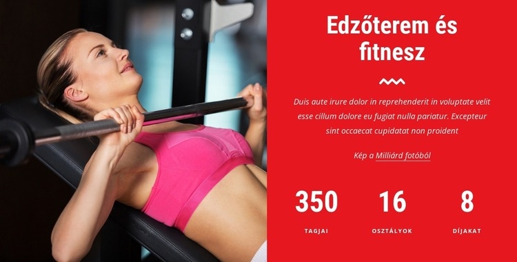 Próbálja ki a legjobb fitnesz órákat HTML Sablon