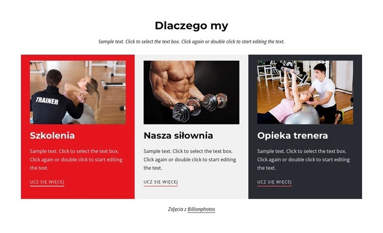 Szkolenia i opieka trenera Szablony do tworzenia witryn internetowych