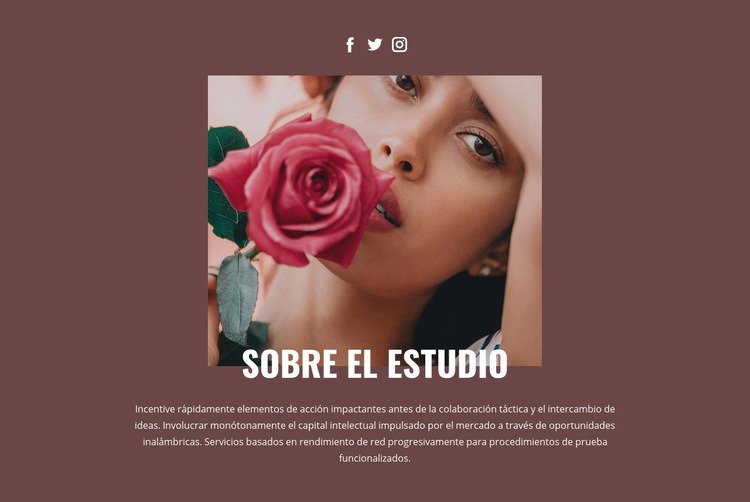 Estudio de moda de belleza Plantillas de creación de sitios web