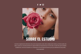 Estudio De Moda De Belleza Sitio Web De Estudio Html5