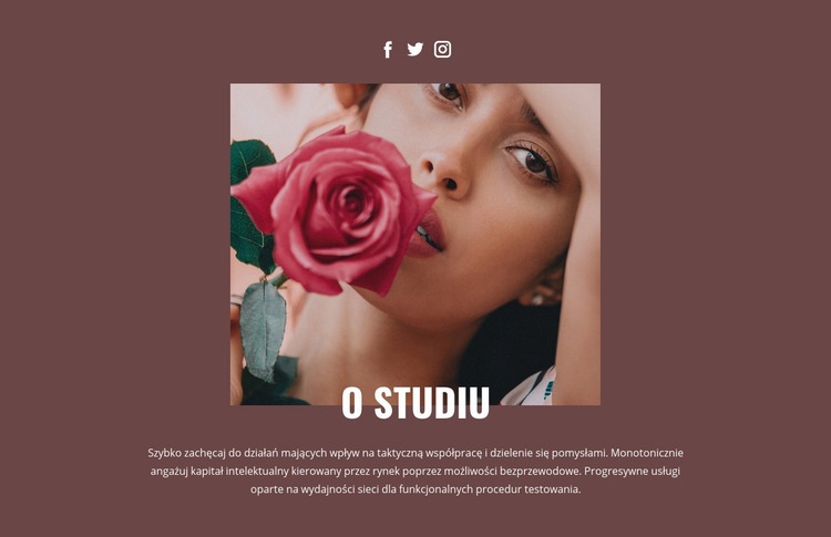 Studio mody kosmetycznej Makieta strony internetowej