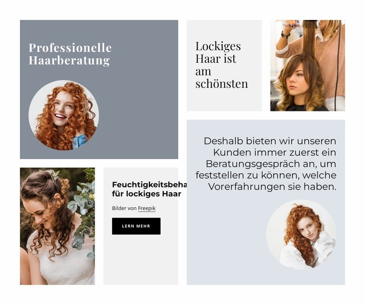 Professionelle Haarberatung Website-Modell