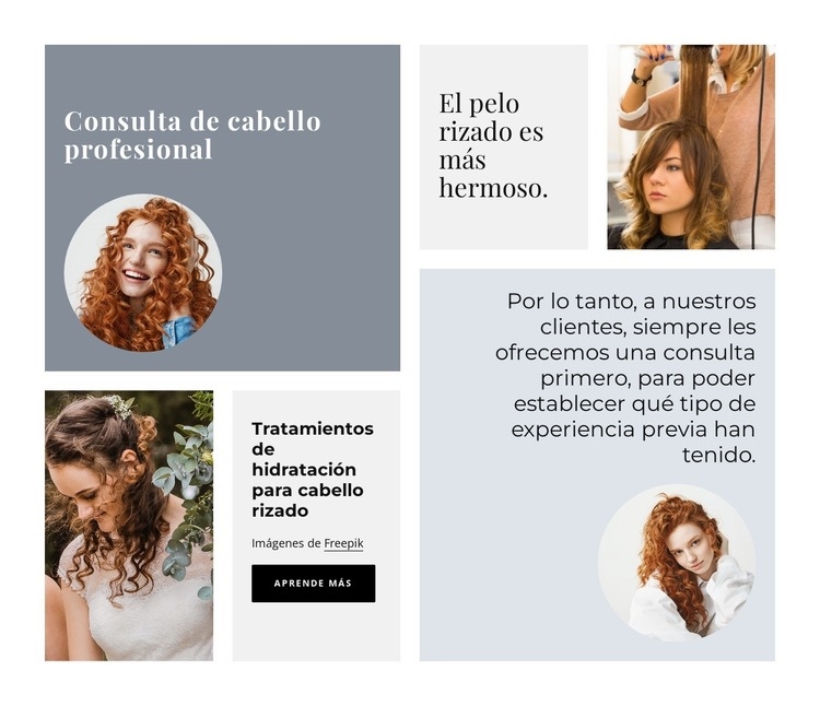 consulta profesional de cabello Maqueta de sitio web