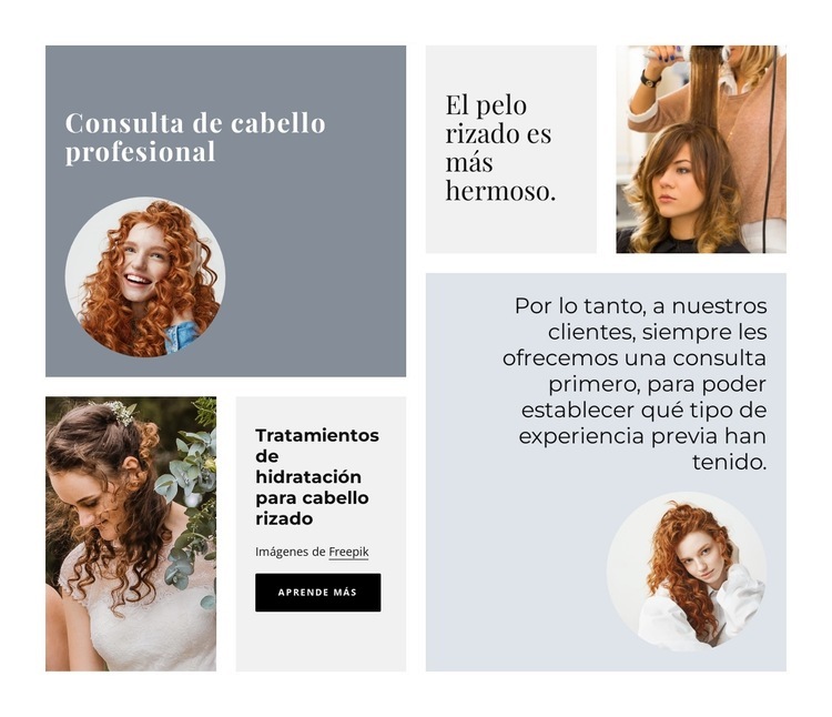 consulta profesional de cabello Página de destino