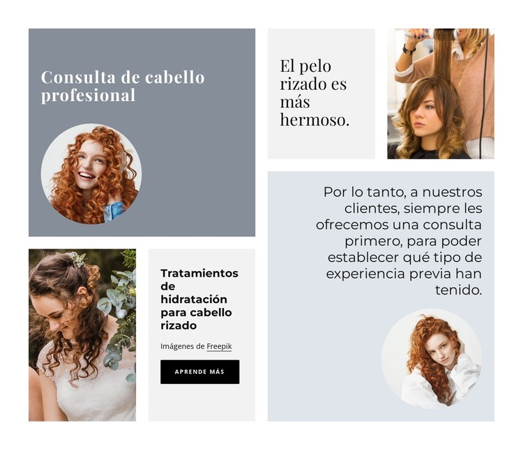 consulta profesional de cabello Plantilla CSS