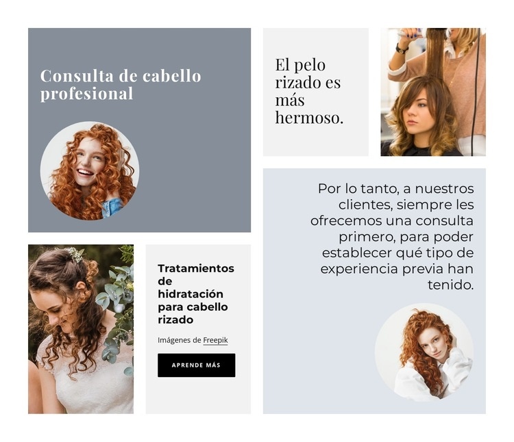 consulta profesional de cabello Plantilla HTML5