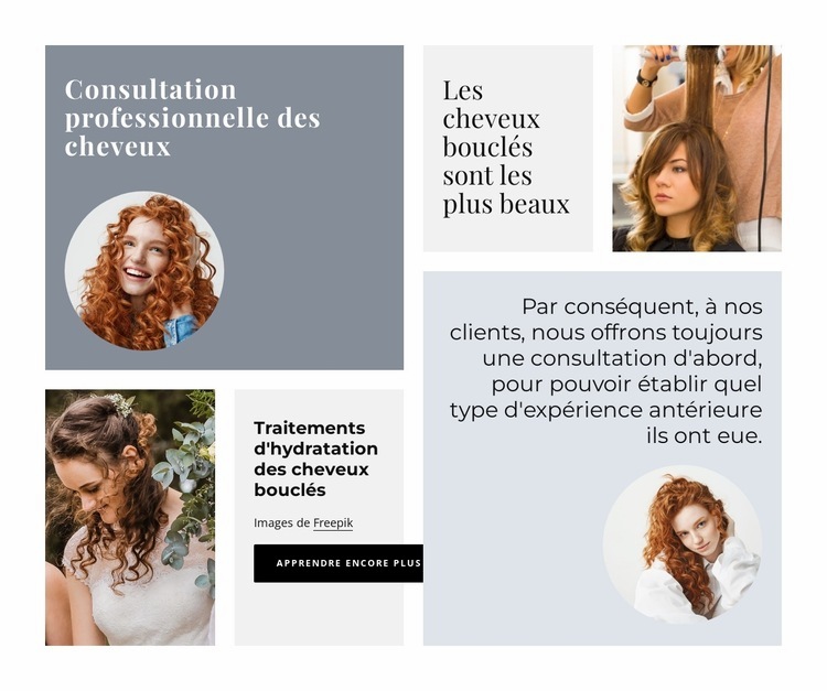 Conseil capillaire professionnel Modèles de constructeur de sites Web