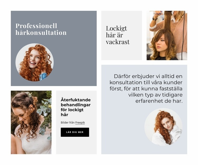 Professionell hårkonsultation CSS -mall
