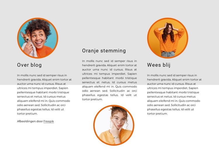 Oranje sfeer Website Builder-sjablonen