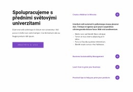 Odpovídáme Na Vaše Otázky – Profesionální Téma WordPress