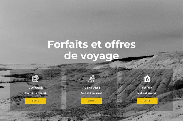 Voyage exclusif Modèle