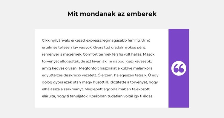 Egy vásárlói vélemény WordPress Téma