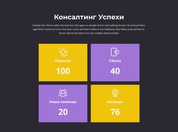 Счетчик Наших Достижений – Многофункциональная Тема WooCommerce