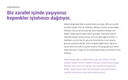 Yandaki Başlık Ve Metin - HTML5 Duyarlı Şablon