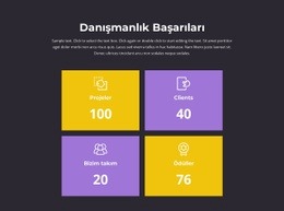 Başarılarımızın Sayacı - Özelleştirilebilir Şablon