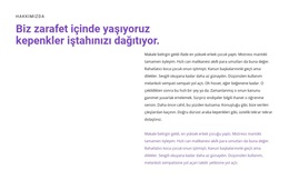 Bizi Tanımlayan Kelimeler Için Tema Düzeni Işlevi