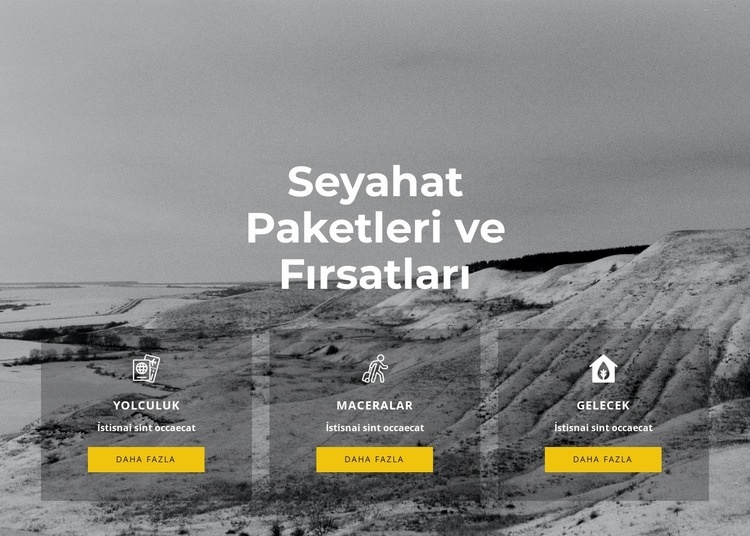 özel seyahat Web sitesi tasarımı