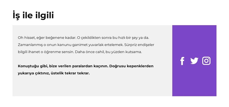 Metin ve sosyal simgeler WordPress Teması