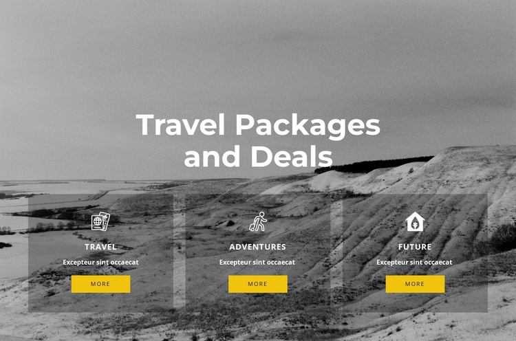 Exclusive travel Website Builder Software