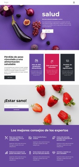 Diseño De Sitio Web Premium Para Construyendo Una Dieta Sana Y Equilibrada.