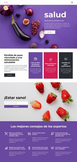 Construyendo Una Dieta Sana Y Equilibrada. - Plantillas De Diseño De Sitios Web