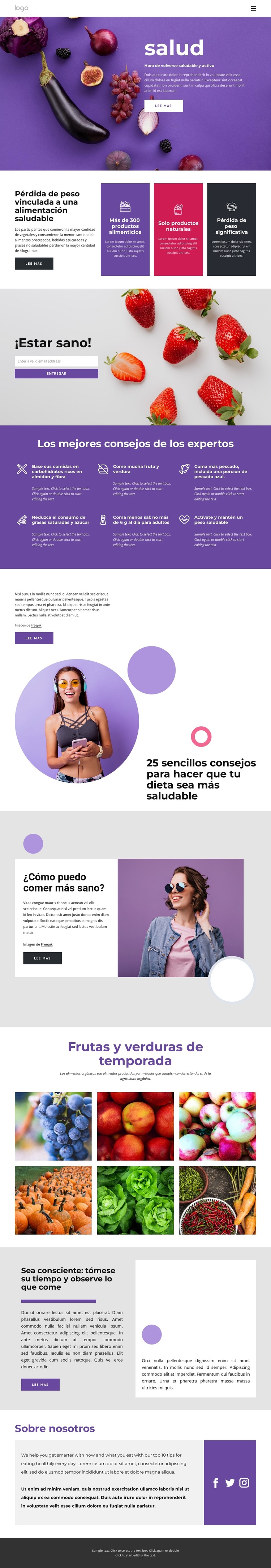 Construyendo una dieta sana y equilibrada. Tema de WordPress