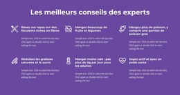 Les Meilleurs Conseils Des Experts - Modèle De Création De Site Web