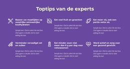 Toptips Van De Experts - Klaar Voor Gebruik WordPress-Thema