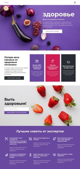 Построение Здорового И Сбалансированного Питания Бесплатные Темы Wordpress