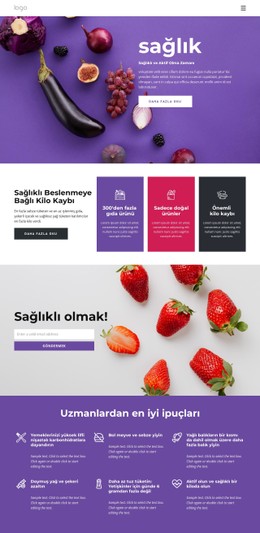 Sağlıklı Ve Dengeli Bir Diyet Oluşturmak Şablon HTML CSS Duyarlı