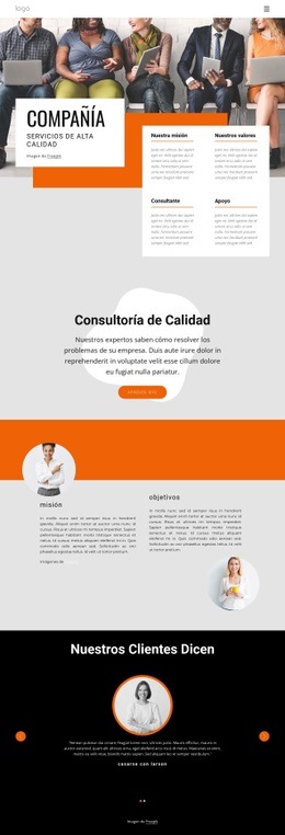 Consultoría De Alta Calidad Diseño De Sitios Web