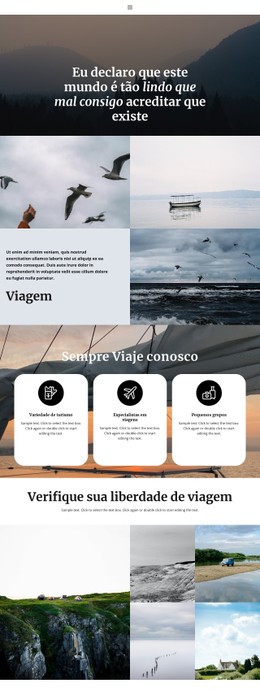 Informações Úteis De Viagem Modelo CSS Simples