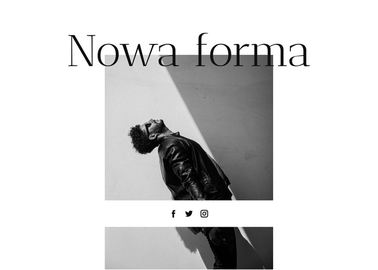 Nowa forma w dobrym stylu Motyw WordPress