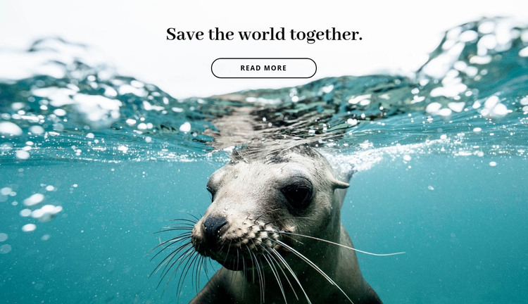 Save the world together Homepage Design