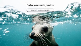 Salve O Mundo Juntos Web Design